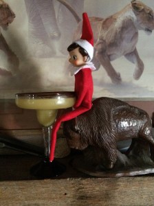 Elf on Buffalo with margarita